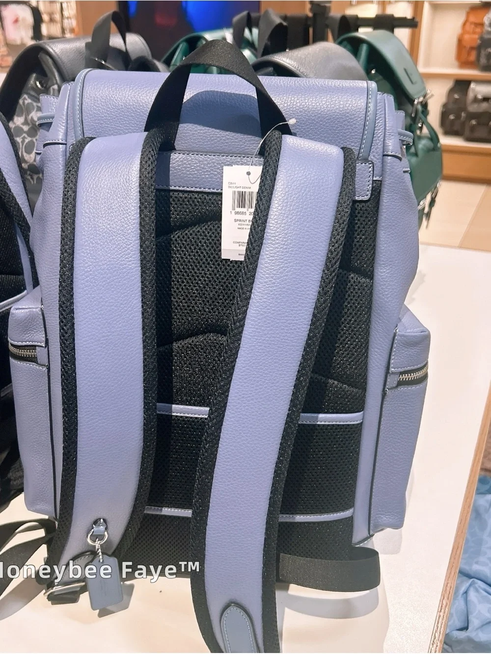 Coach Men's sprint Leather Backpack in Lavender Blue CBI11